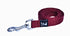 Classic Leash Pet Walk